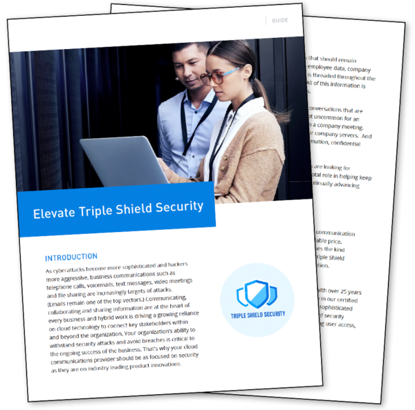 What You Need to Know About Triple Shield Security – DRP Solutions