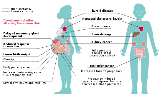 PFAs on human health